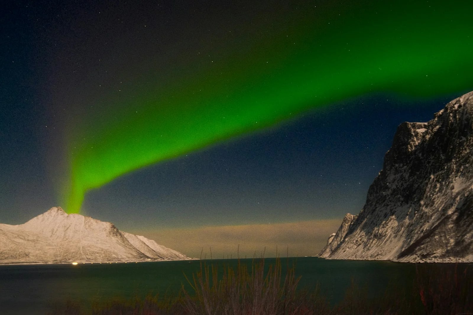 Auroras boreales iluminando la noche del norte